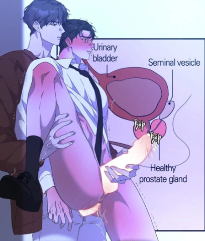 Luận Văn Thân Xác Của Giáo Sư