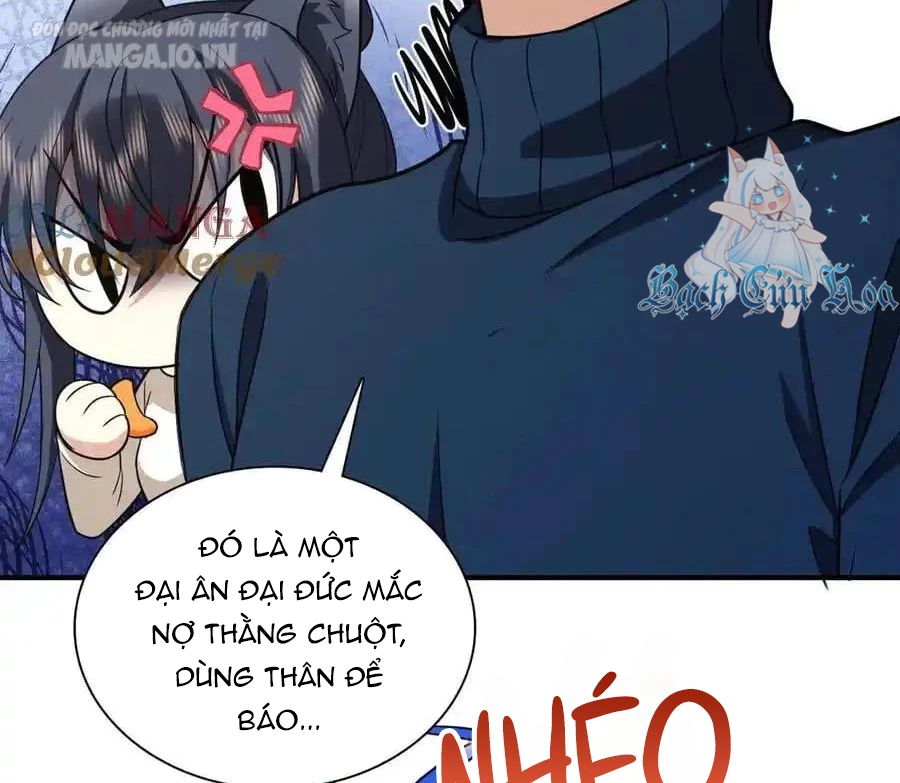 Bà Xã Nhà Tôi Đến Từ Ngàn Năm Trước Chapter 268 - Next Chapter 269