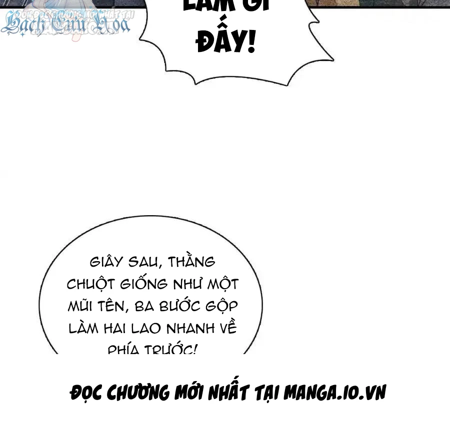 Bà Xã Nhà Tôi Đến Từ Ngàn Năm Trước Chapter 268 - Next Chapter 269