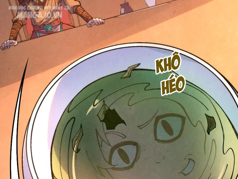 Vạn Cổ Chí Tôn Chapter 300 - Next Chapter 301