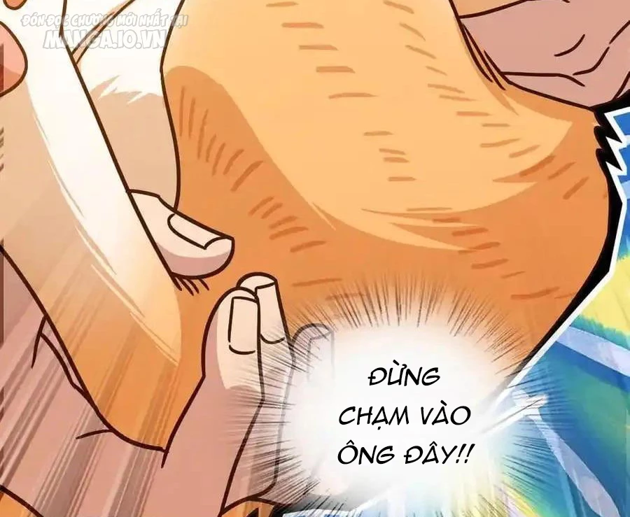 Bà Xã Nhà Tôi Đến Từ Ngàn Năm Trước Chapter 284 - Trang 4