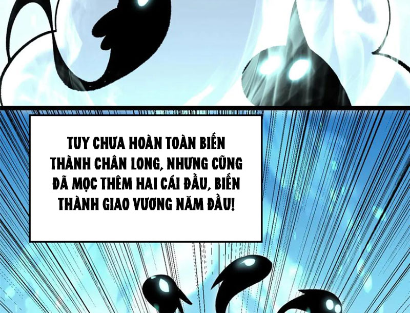 Đỉnh Cấp Khí Vận, Lặng Lẽ Tu Luyện Ngàn Năm Chapter 212 - Next Chapter 213