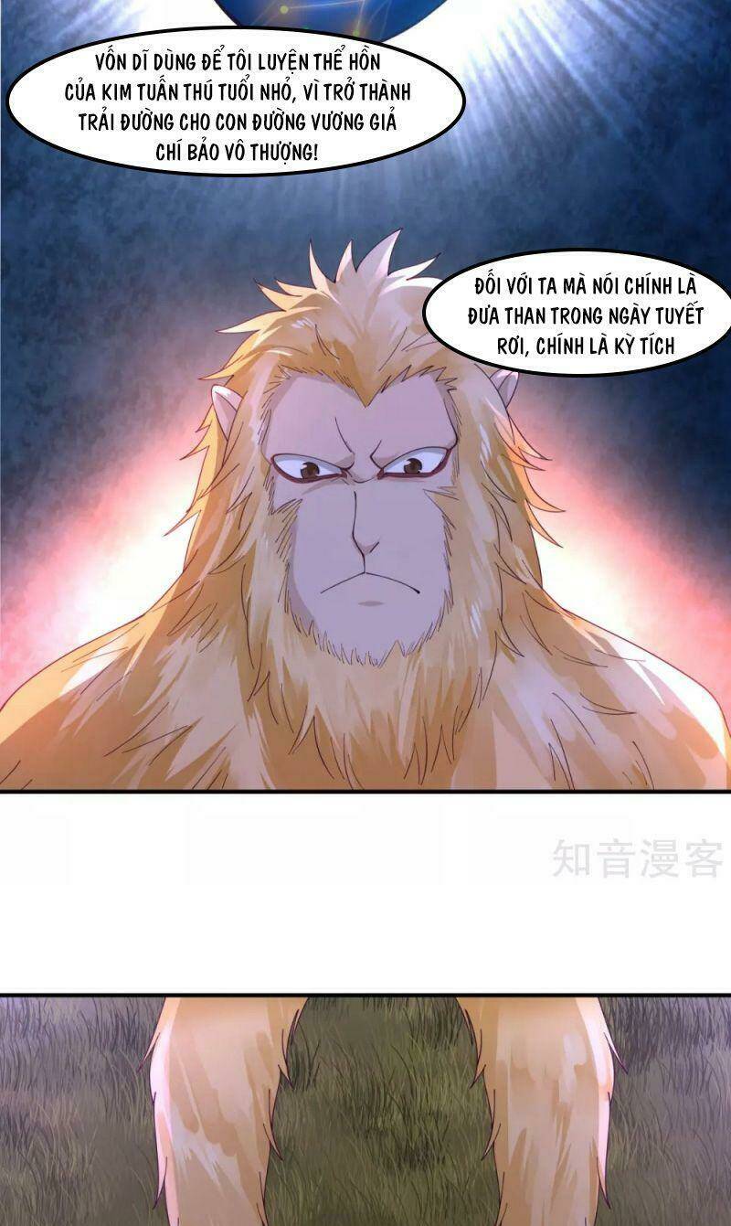 hỗn độn đan thần Chapter 155 - Next Chapter 156