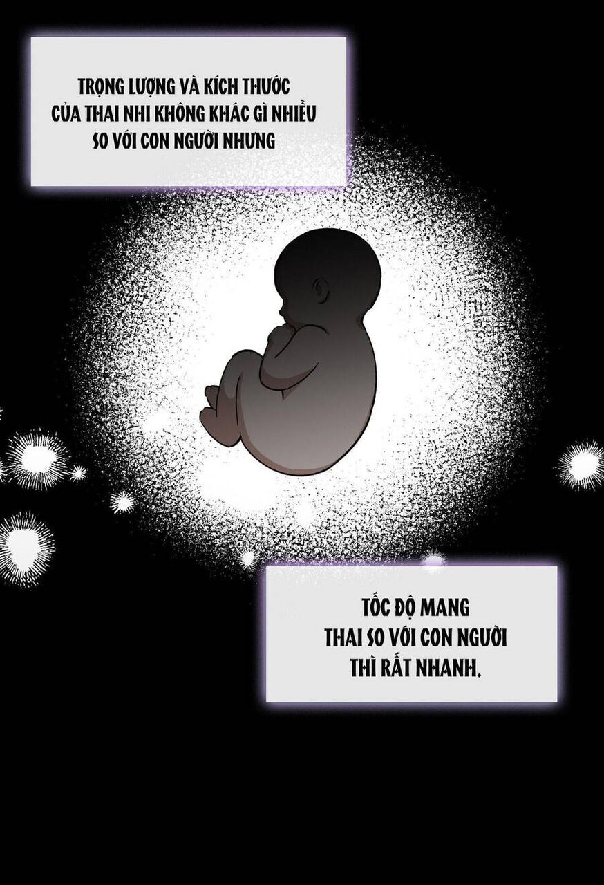 Đưa Em Đến Mặt Trăng Chapter 59.1 - Trang 2