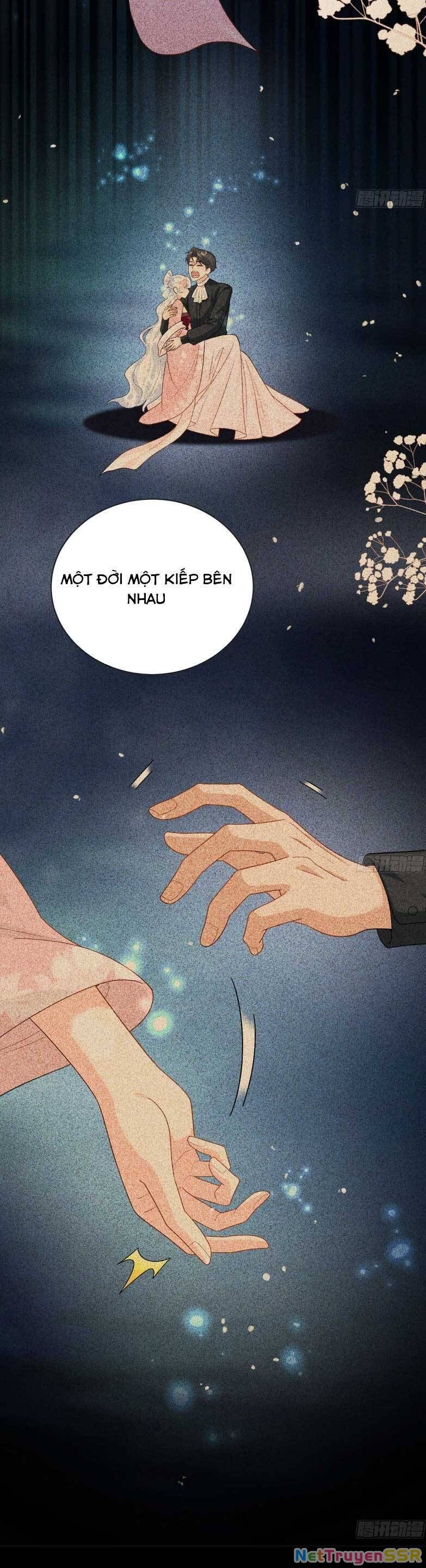 Bé Rồng Đột Kích! Mami Vừa Cay Vừa Độc Chapter 104 - Trang 2