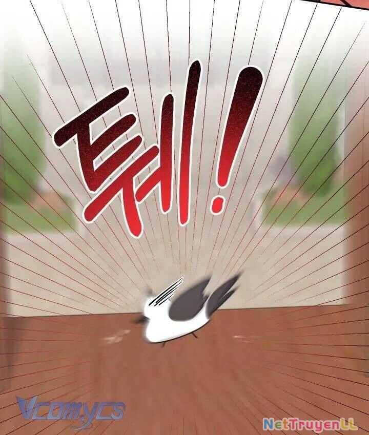 Tiểu Thư Tích Tiền Đi Bụi Chapter 54 - Trang 4