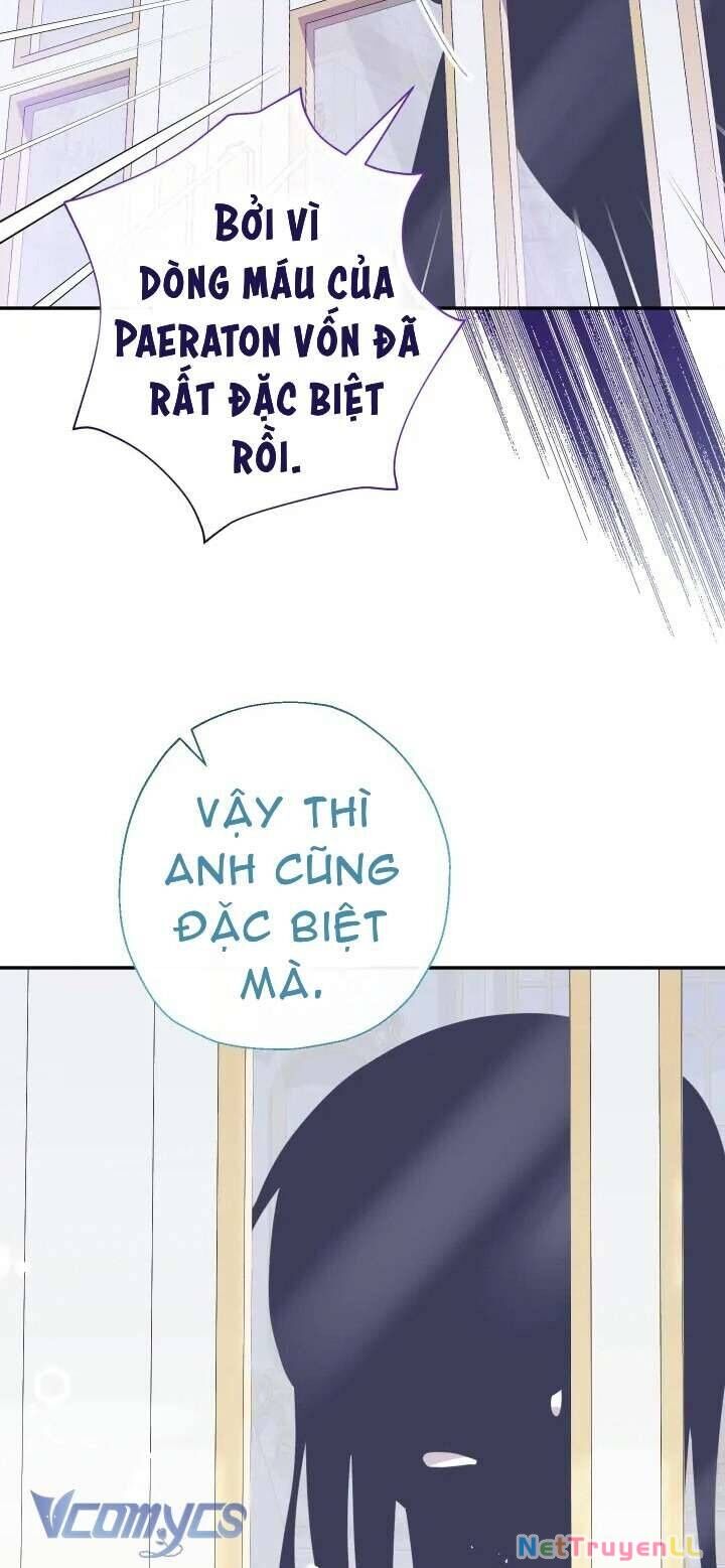 Tiểu Thư Tích Tiền Đi Bụi Chapter 54 - Trang 4