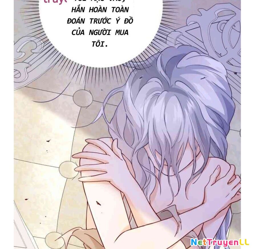 Phán Mại Cấp Vương Tử Chapter 2 - Trang 2