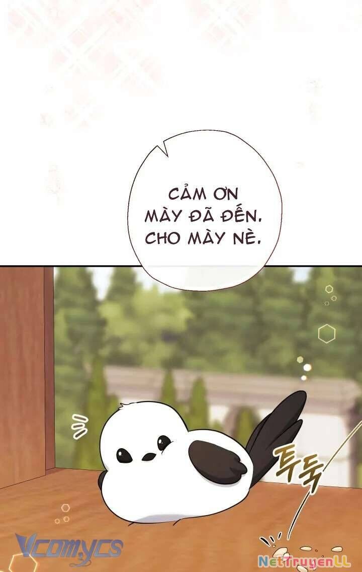 Tiểu Thư Tích Tiền Đi Bụi Chapter 54 - Trang 4