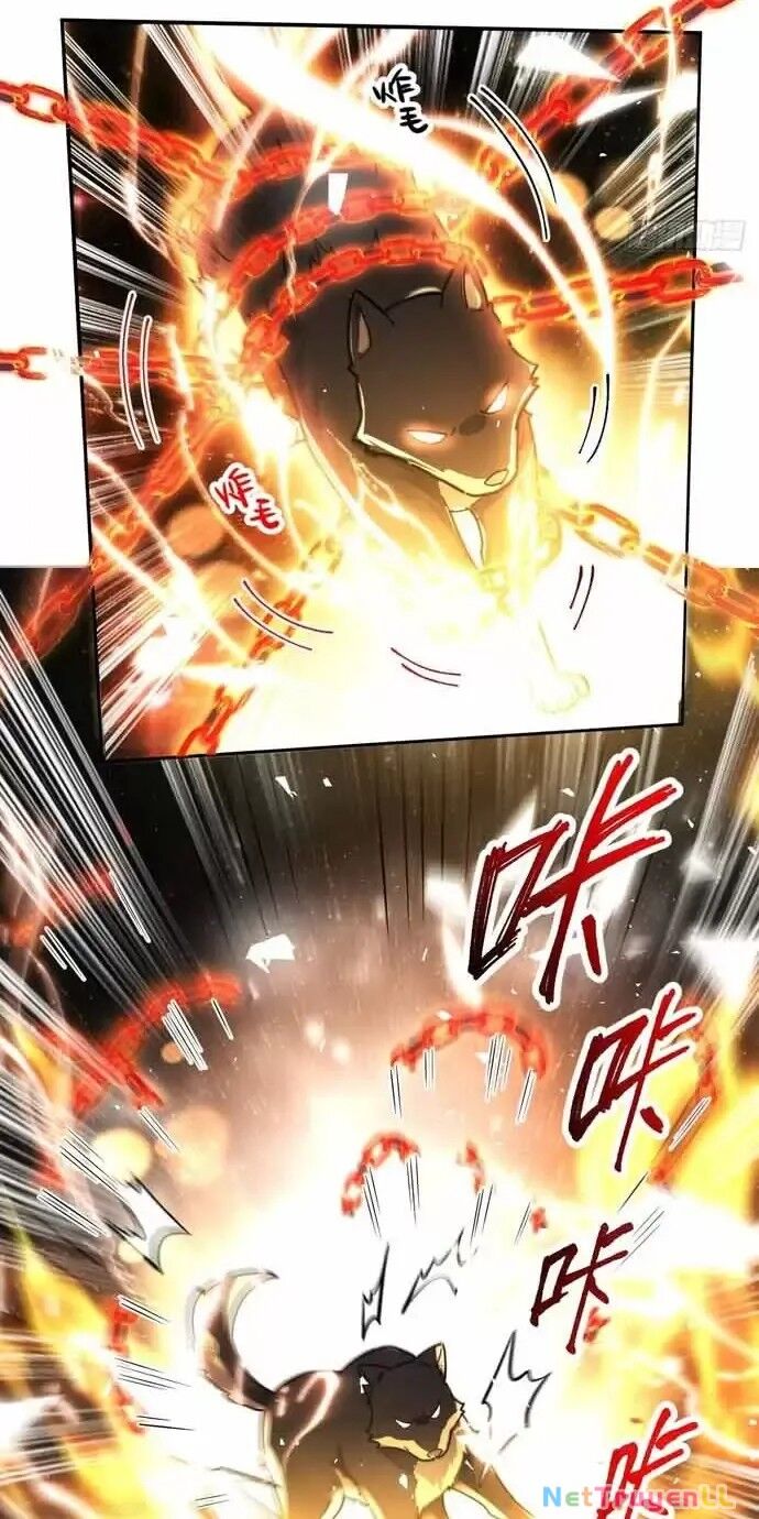 Nguyên Lai Ta Là Tu Tiên Đại Lão Chapter 430 - Next Chapter 431