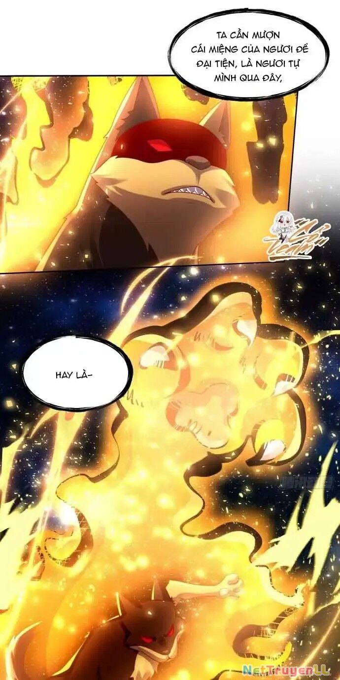 Nguyên Lai Ta Là Tu Tiên Đại Lão Chapter 430 - Next Chapter 431