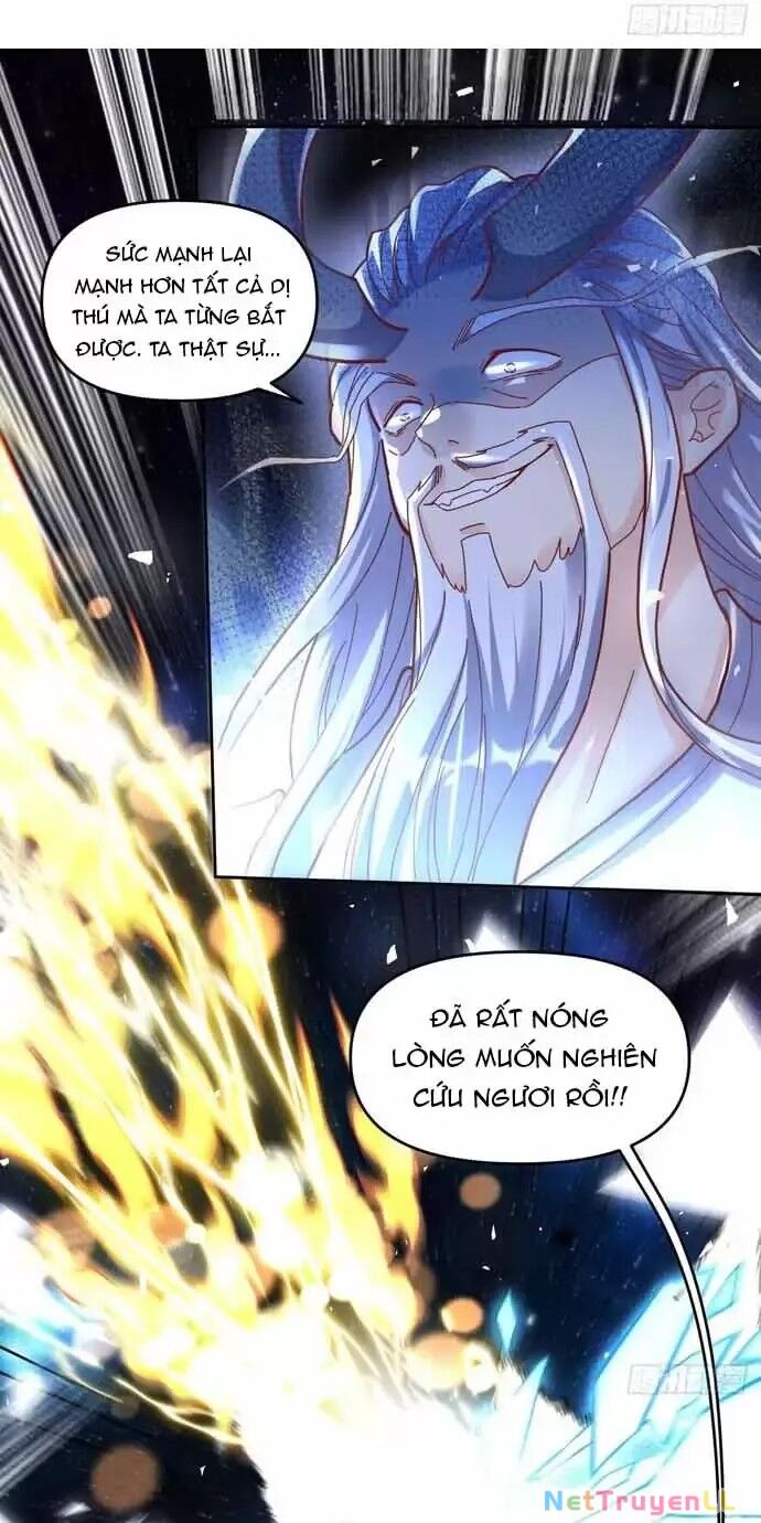 Nguyên Lai Ta Là Tu Tiên Đại Lão Chapter 430 - Trang 3