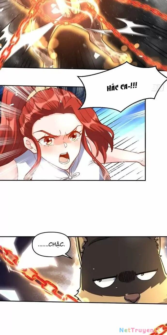 Nguyên Lai Ta Là Tu Tiên Đại Lão Chapter 430 - Next Chapter 431