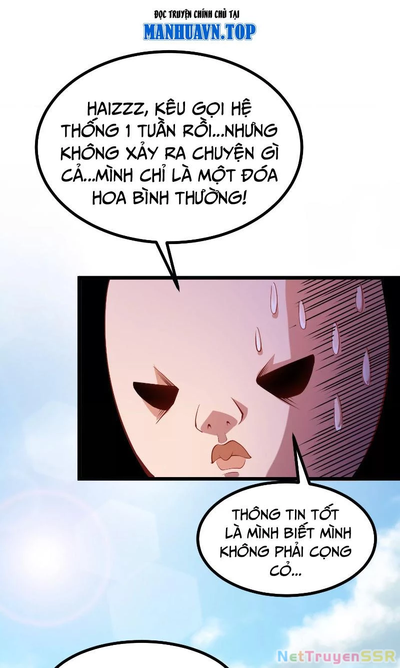 Thôn Phệ Đi, Đại Chùy Hoa Chapter 1 - Next Chapter 2