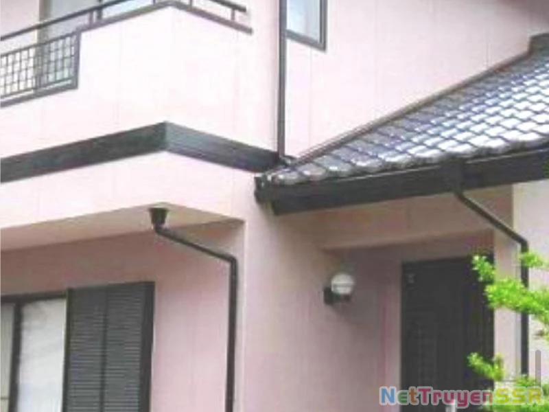 Ta Có 90 Tỷ Tiền Liếm Cẩu! Chapter 223 - Trang 4