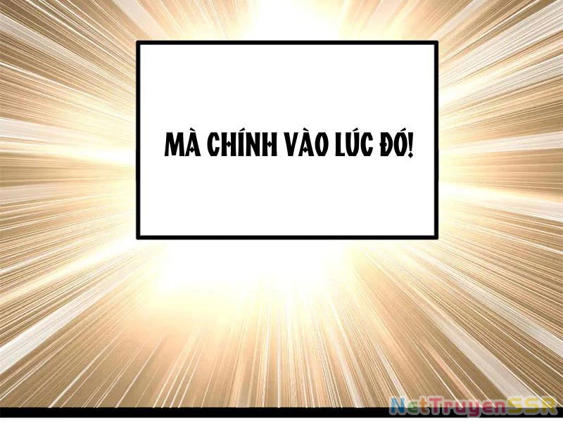 Chàng Rể Mạnh Nhất Lịch Sử Chapter 207 - Trang 4