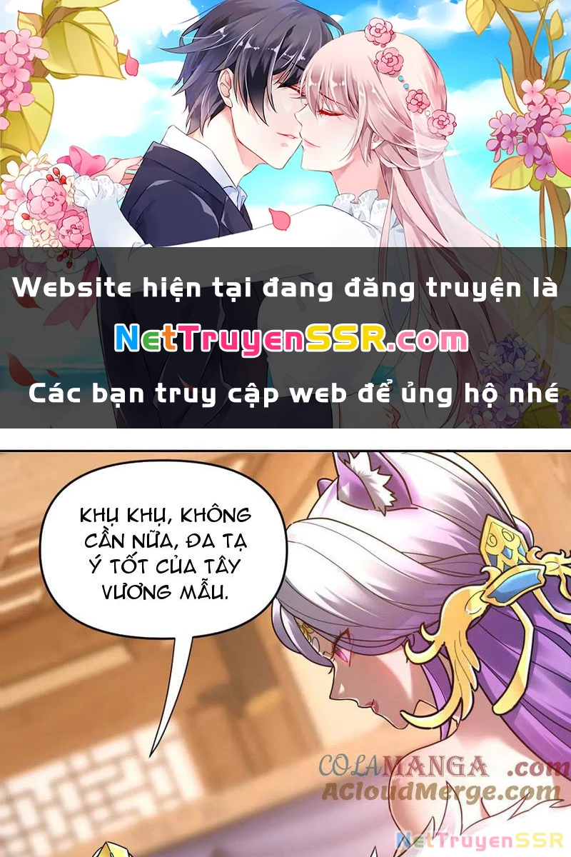 Bắt Đầu Chấn Kinh Nữ Đế Lão Bà, Ta Vô Địch! Chapter 16 - Next Chapter 17