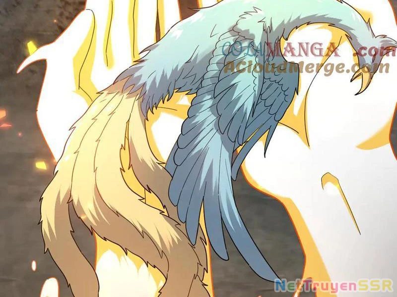 Bắt Đầu Chấn Kinh Nữ Đế Lão Bà, Ta Vô Địch! Chapter 20 - Trang 4