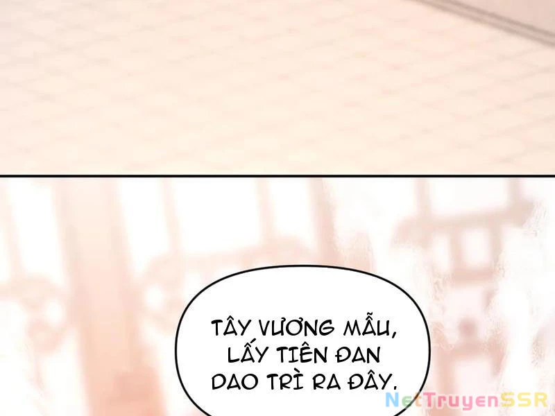 Bắt Đầu Chấn Kinh Nữ Đế Lão Bà, Ta Vô Địch! Chapter 20 - Trang 4