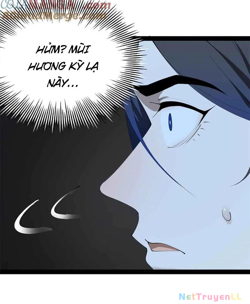 Chàng Rể Mạnh Nhất Lịch Sử Chapter 209 - Trang 4