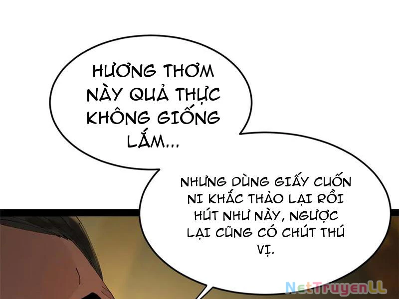 Chàng Rể Mạnh Nhất Lịch Sử Chapter 210 - Trang 4