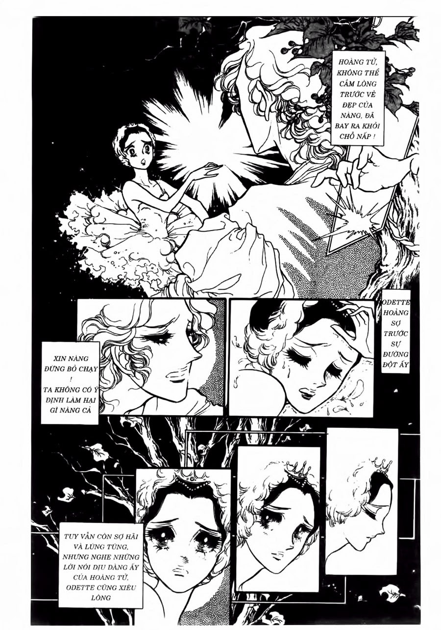 Swan - Vũ Khúc Thiên Nga Chapter 45 - Next Chapter 46