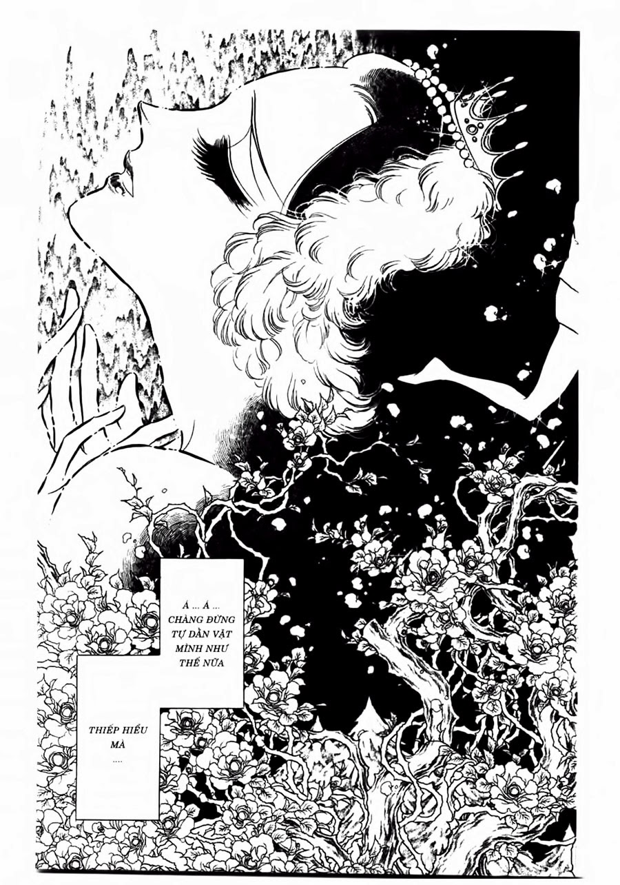 Swan - Vũ Khúc Thiên Nga Chapter 47 - Next Chapter 48