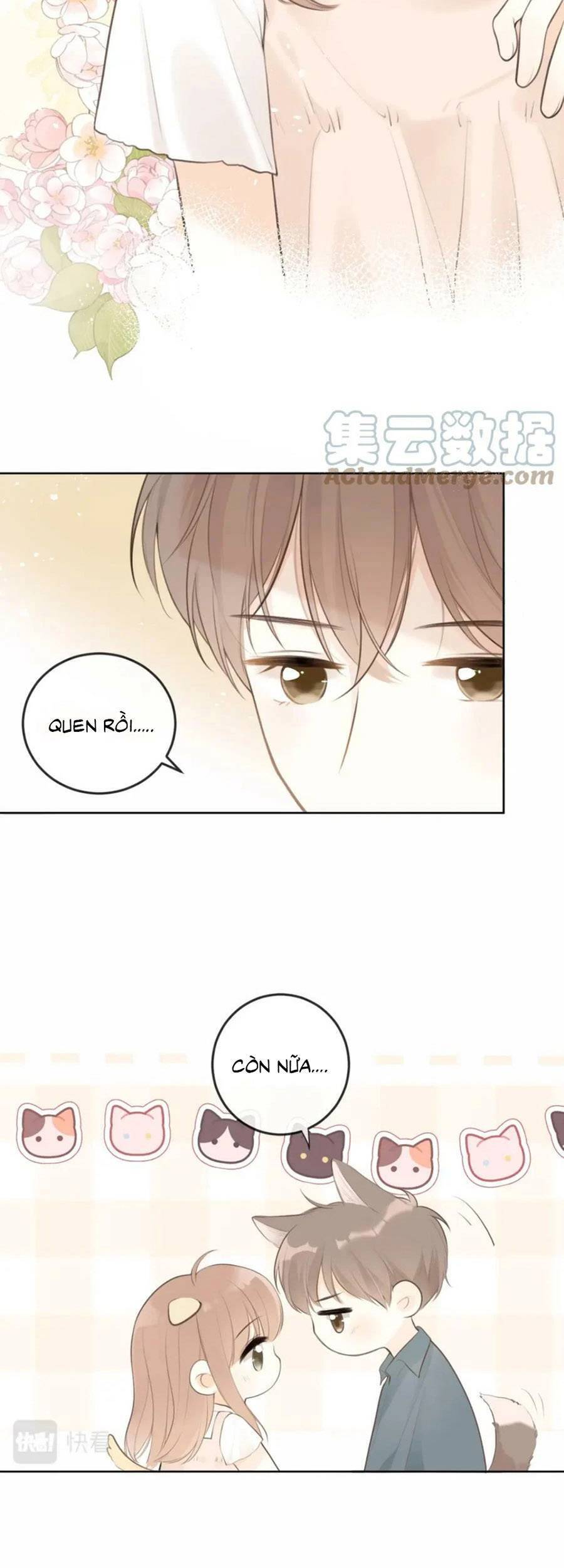 Tình Yêu Duy Nhất Của Tôi Chapter 29 - Next Chapter 29