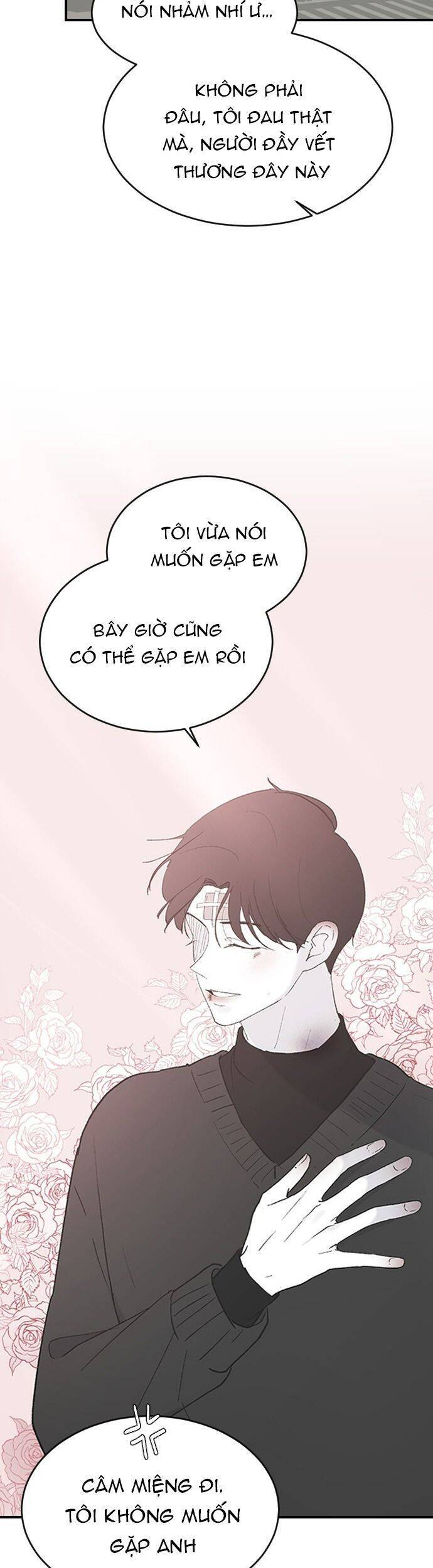 Ba Người Anh Trai Cực Phẩm Của Tôi Chapter 51 - Next Chapter 52