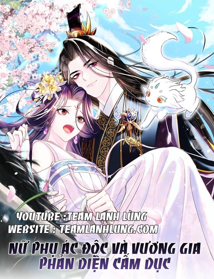 Nữ Phụ Ác Độc Và Vương Gia Phản Diện Cấm Dục Chapter 4 - Next Chapter 5