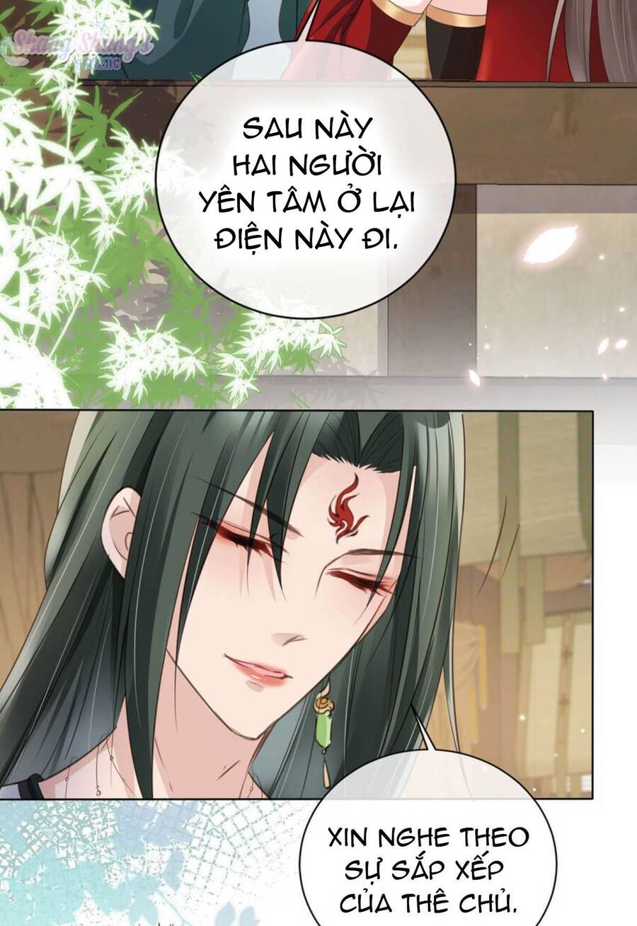 Tôi Là Đệ Nhất Hắc Nguyệt Quang Của Tu Chân Giới Chapter 3 - Next Chapter 4