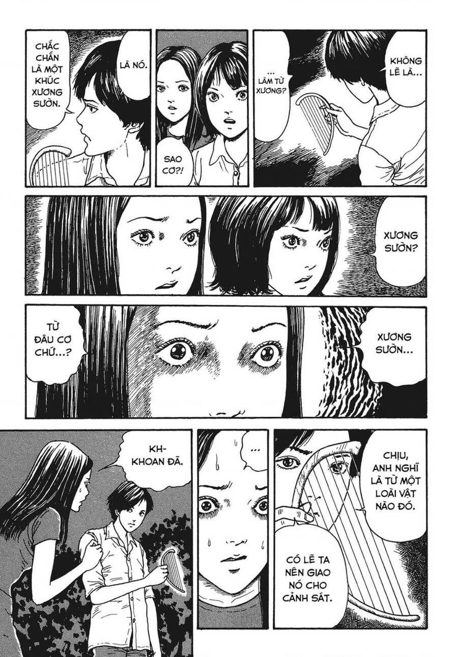 Tình Yêu: Tuyển Tập Câu Chuyện Của Junji Ito Chapter 9 - Trang 3