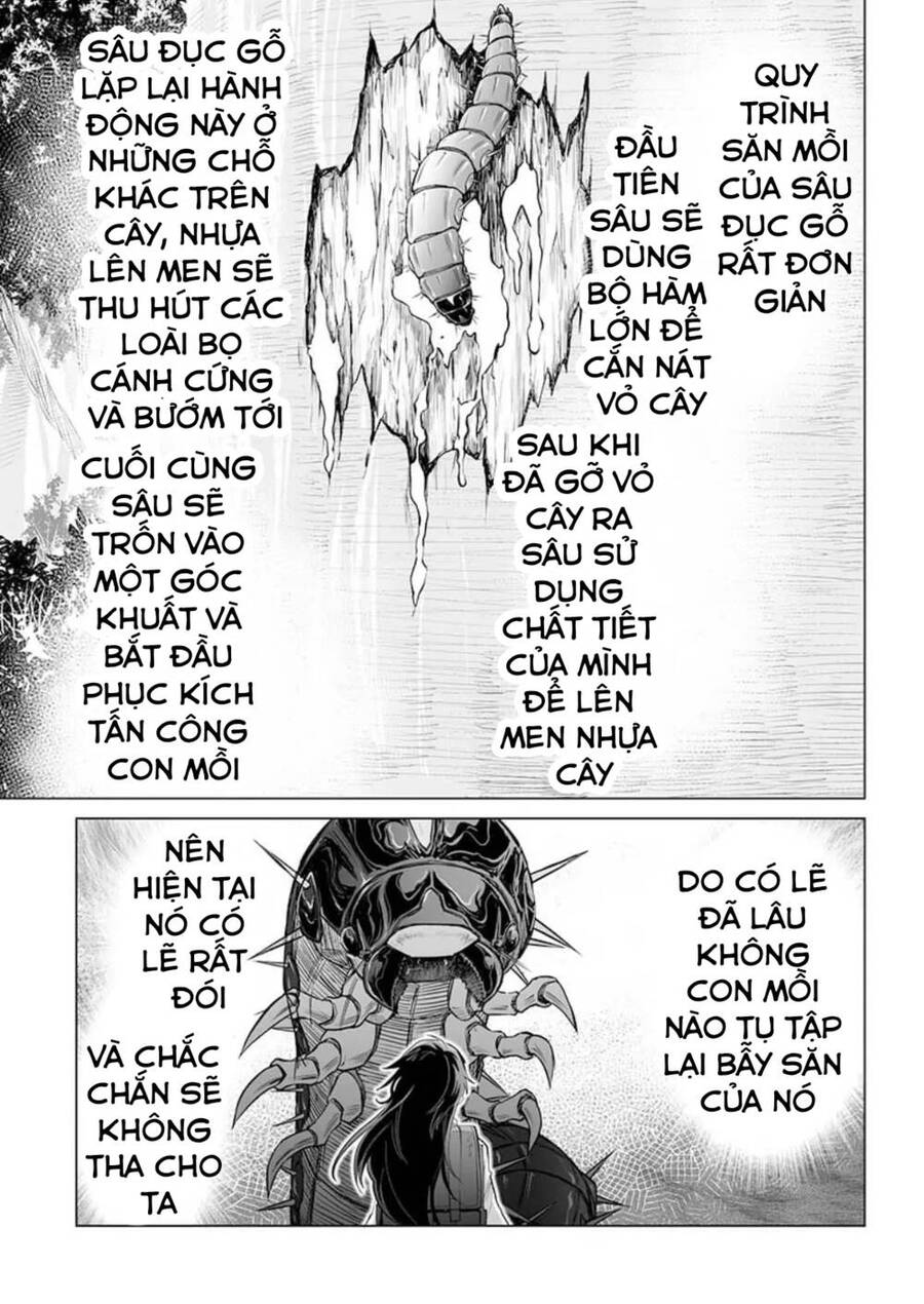 Dãy Núi Côn Trùng Chapter 26 - Trang 4