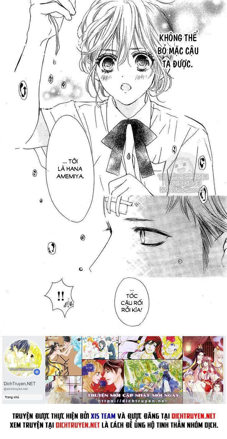 Boku Ni Hana No Melancholy Chapter 49 - Next Chapter 50