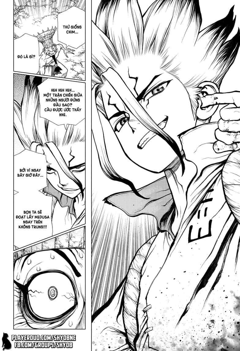 Dr.stone Chapter 136 - Next 