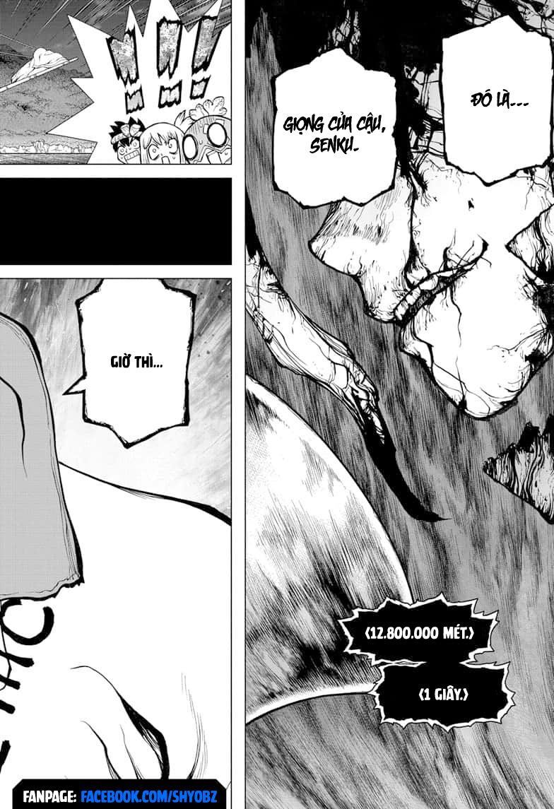 Dr.stone Chapter 138 - Next 