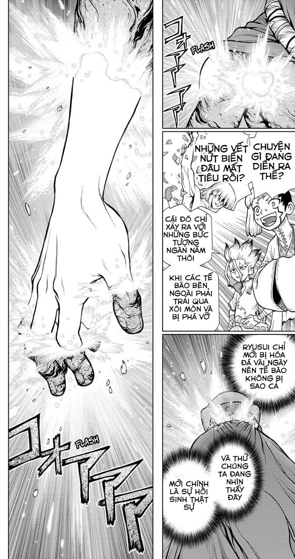 Dr.stone Chapter 116 - Next 