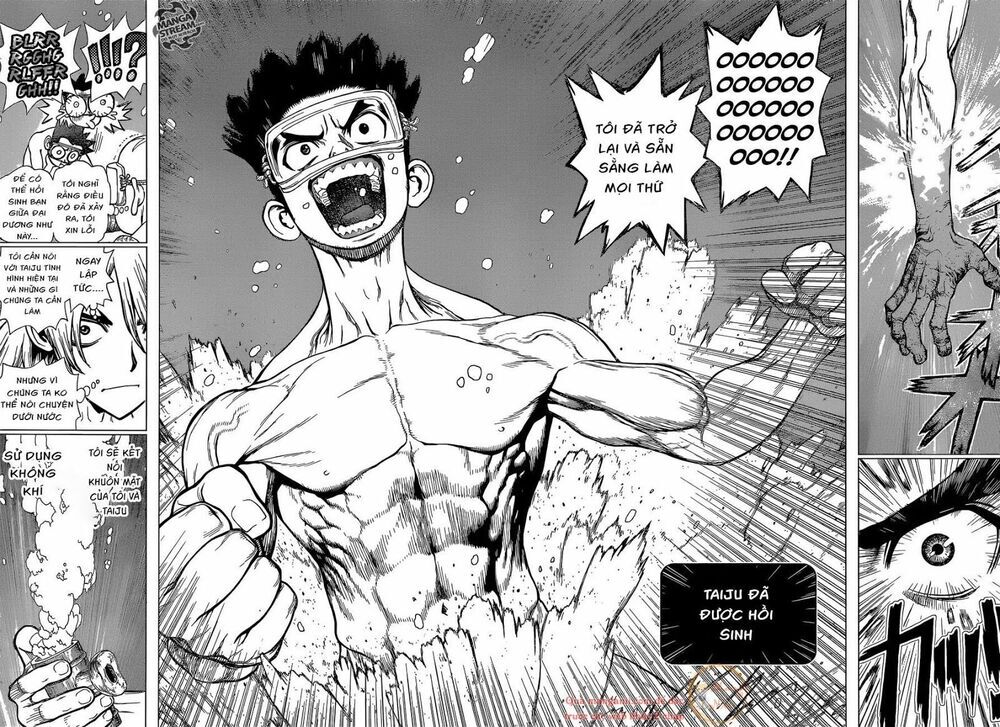 Dr.stone Chapter 118 - Next 