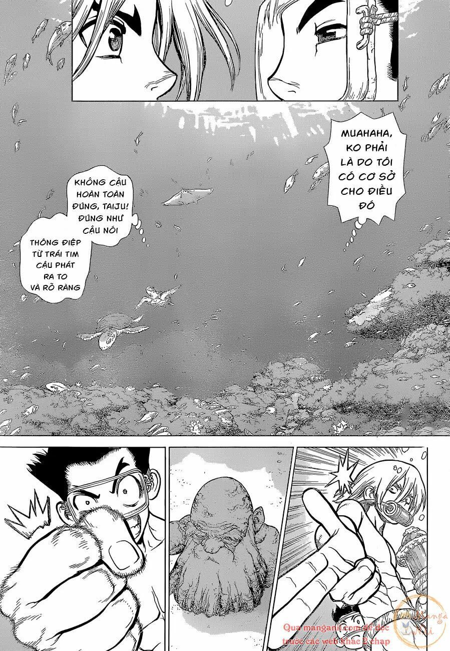 Dr.stone Chapter 118 - Next 