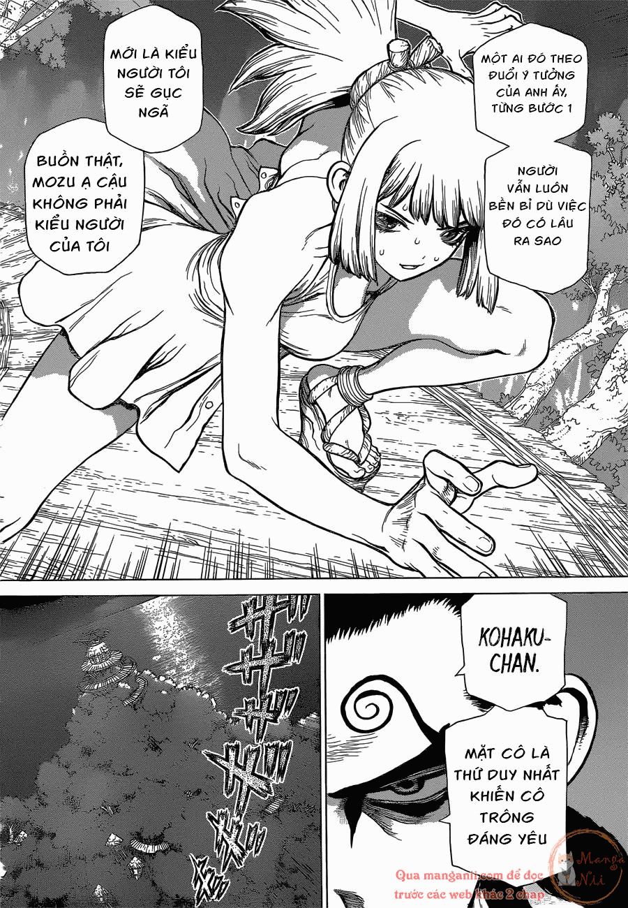 Dr.stone Chapter 121 - Next 