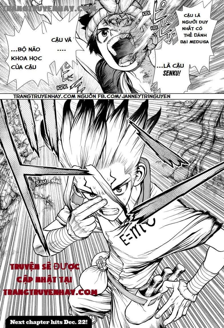 Dr.stone Chapter 133 - Next 