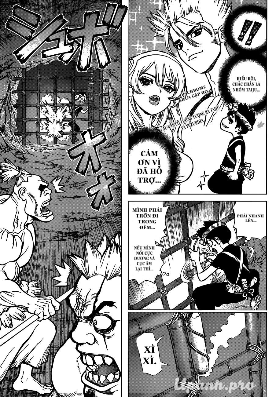 Dr.stone Chapter 71 - Next 