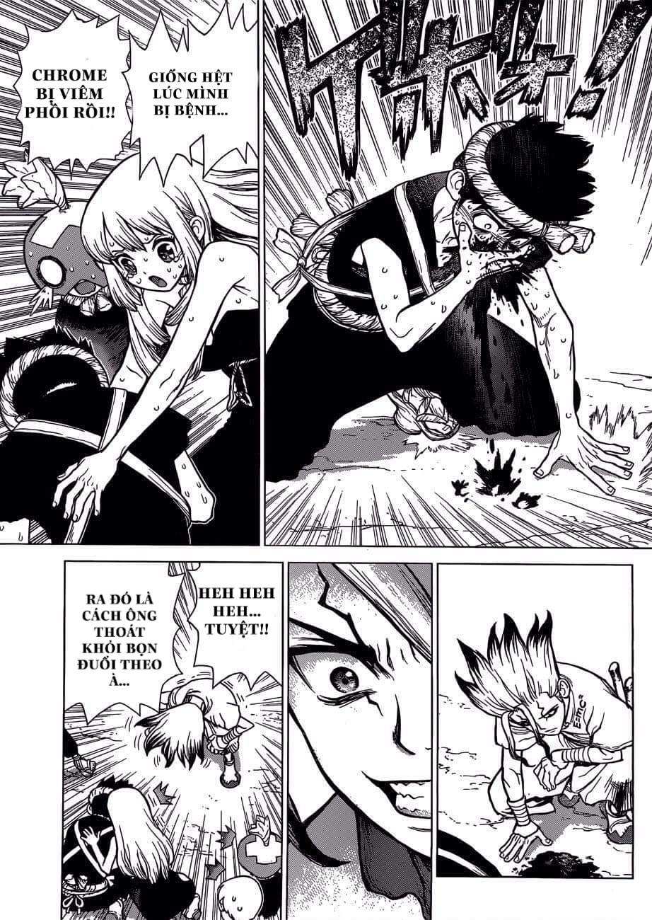 Dr.stone Chapter 72 - Next 