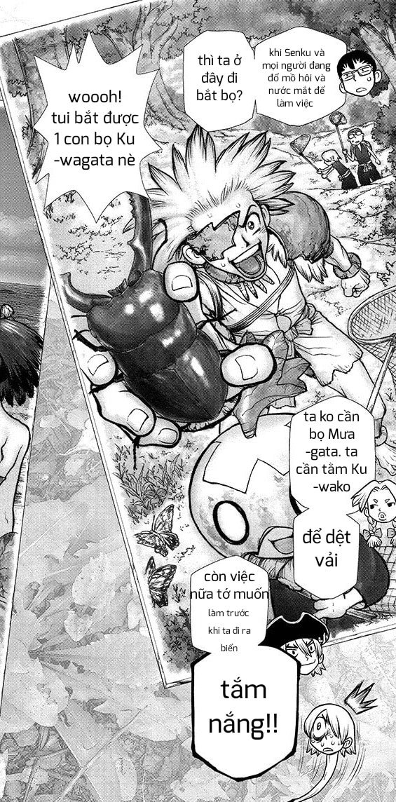 Dr.stone Chapter 99 - Next 