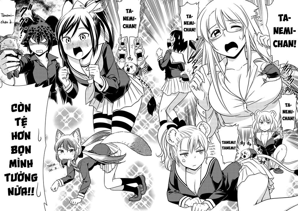 Murenase! Shiiton Gakuen Chapter 74 - Trang 3