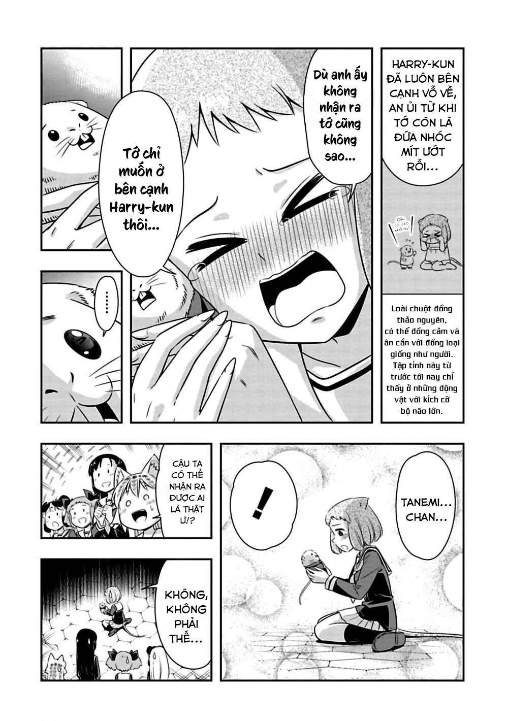 Murenase! Shiiton Gakuen Chapter 74 - Trang 3