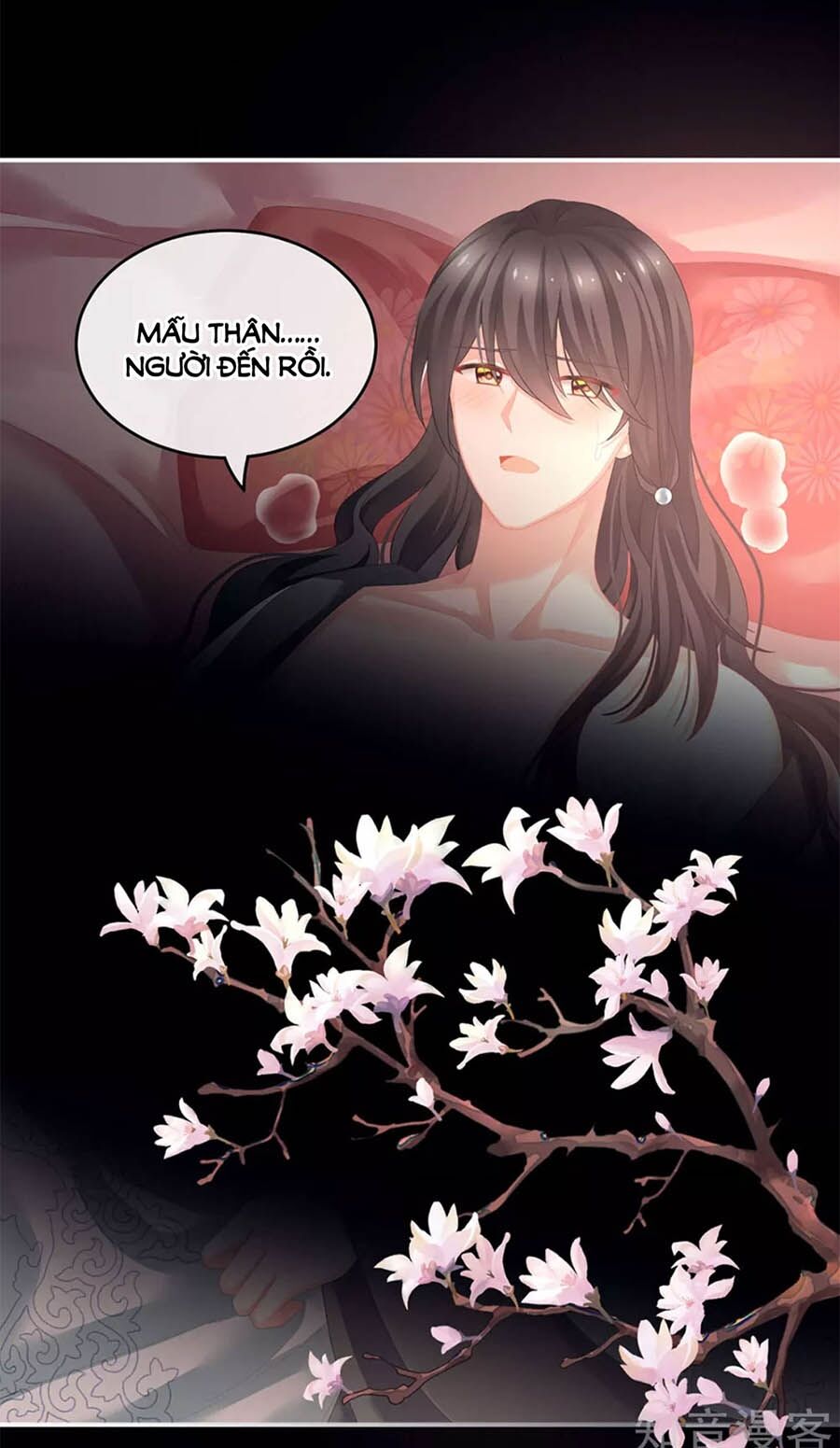 Hậu Cung Của Nữ Đế Chapter 141 - Trang 3