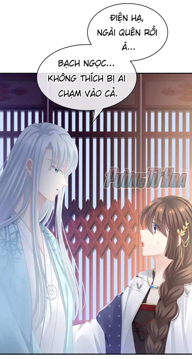 Hậu Cung Của Nữ Đế Chapter 72 - Next Chapter 73