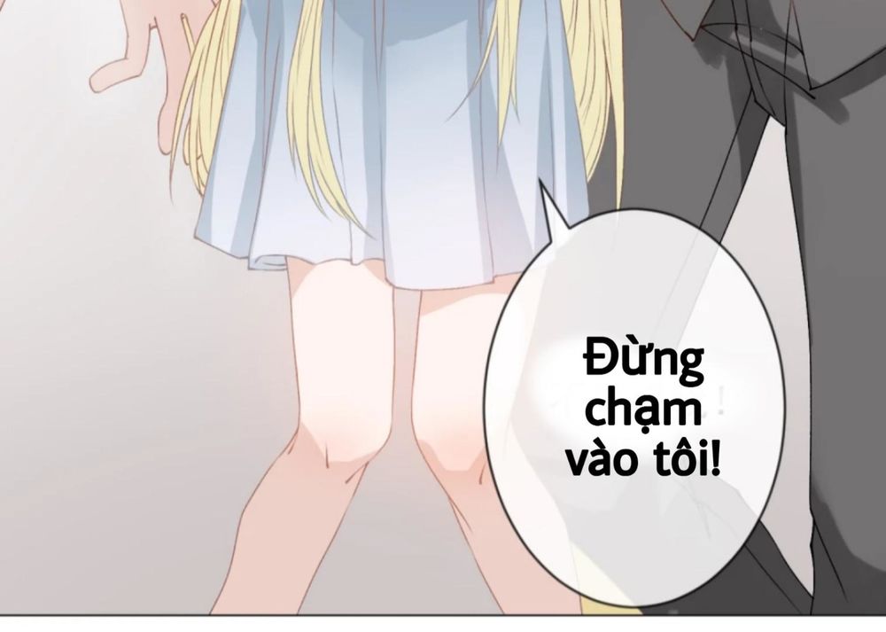 Trọng Sinh Siêu Sao - Lăng Thiếu Sủng Nghiện Chapter 2 - Next Chapter 3