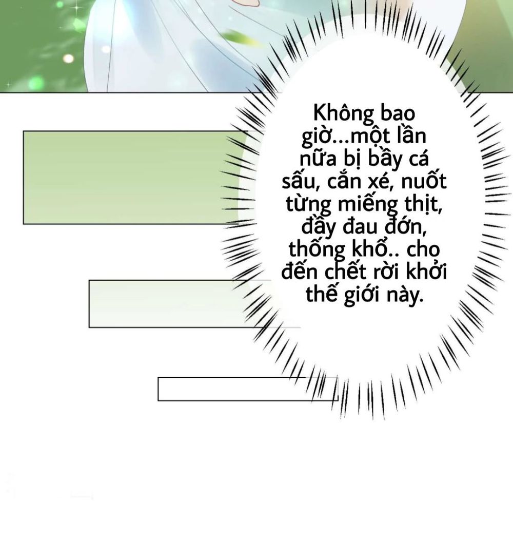 Trọng Sinh Siêu Sao - Lăng Thiếu Sủng Nghiện Chapter 4 - Next Chapter 5